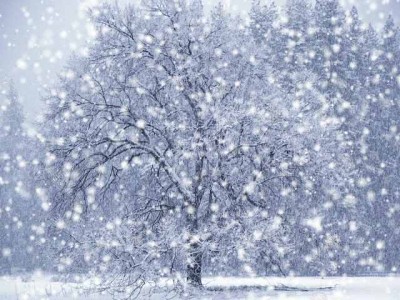 LET IT SNOW, LET IT SNOW, LET IT SNOW… « Paige Luckens blogzine